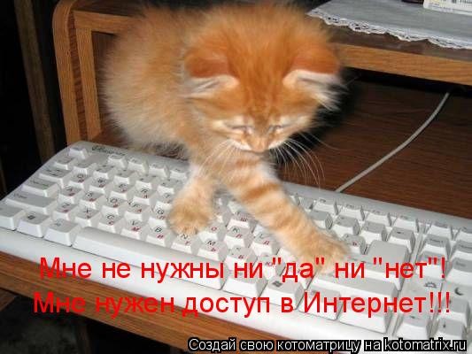 Котоматрица: Мне не нужны ни 'да' ни 'нет'! Мне нужен доступ в Интернет!!!