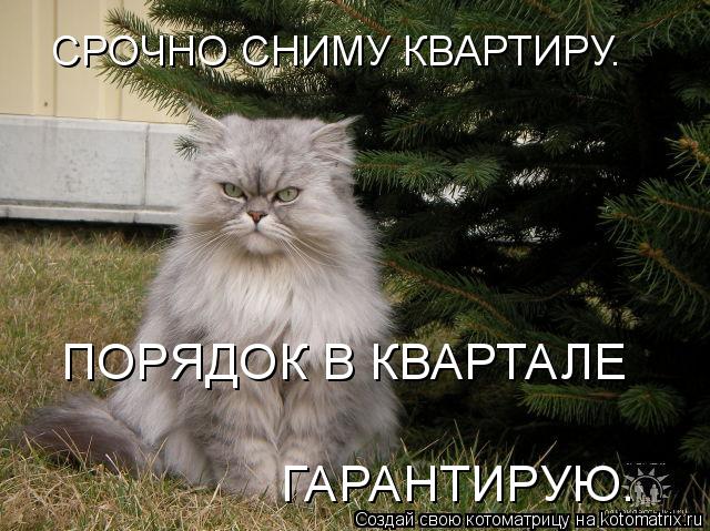 СРОЧНО СНИМУ КВАРТИРУ. ПОРЯДОК В КВАРТАЛЕ ГАРАНТИРУЮ.... Котоматрица: СРОЧНО СНИМУ КВАРТИРУ. ПОРЯДОК В КВАРТАЛЕ ГАРАНТИРУЮ.