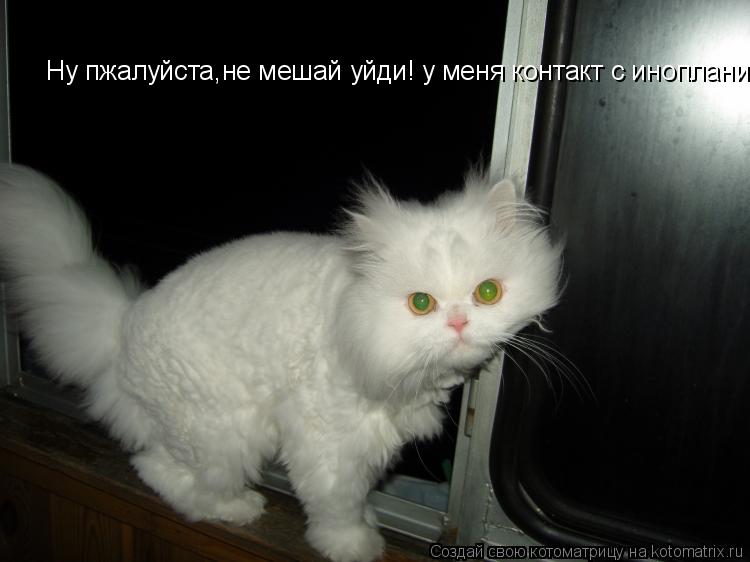 Ну пжалуйста,не мешай уйди! у меня контакт с инопланитянами!... Котоматрица: Ну пжалуйста,не мешай уйди! у меня контакт с инопланитянами!