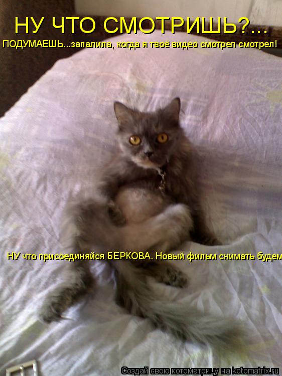 Котоматрица: НУ ЧТО СМОТРИШЬ?... НУ что присоединяйся БЕРКОВА. Новый фильм снимать будем ПОДУМАЕШЬ...запалила, когда я твоё видео смотрел смотрел! ПОДУМАЕ