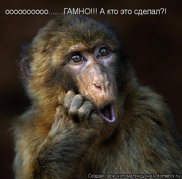 Котоматрица: оооооооооо.......ГАМНО!!! оооооооооо.......ГАМНО!!! А кто это сделал?!