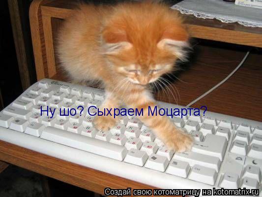 Ну шо? Сыхраем Моцарта?... Котоматрица: Ну шо? Сыхраем Моцарта?