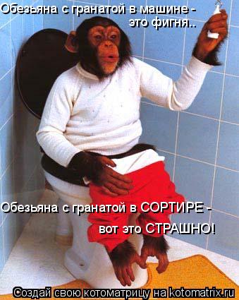 Обезьяна с гранатой в машине - это фигня.. Обезьяна с гранатой в СОРТИРЕ - вот это СТРАШНО!... Котоматрица: Обезьяна с гранатой в машине - это фигня.. Обезьяна с гранатой в СОРТИРЕ - вот это СТРАШНО!