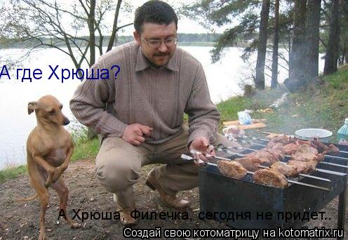 Котоматрица: А где Хрюша? А Хрюша, Филечка, сегодня не придет..