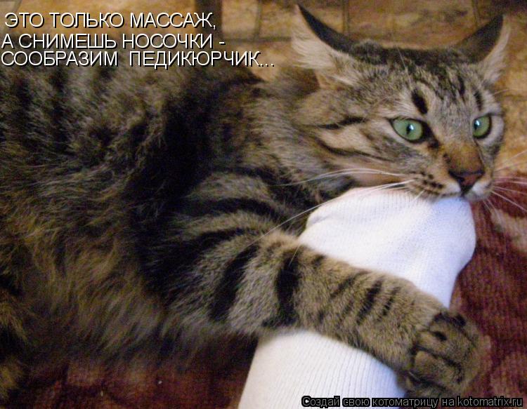 Котоматрица: ЭТО ТОЛЬКО МАССАЖ, А СНИМЕШЬ НОСОЧКИ - СООБРАЗИМ  ПЕДИКЮРЧИК...