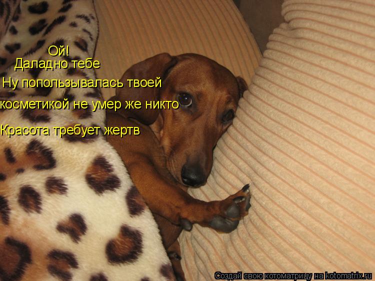 Ой! Даладно тебе Ну попользывалась твоей косметикой не умер же никто Красота требует жертв... Котоматрица: Ой! Даладно тебе Ну попользывалась твоей косметикой не умер же никто Красота требует жертв