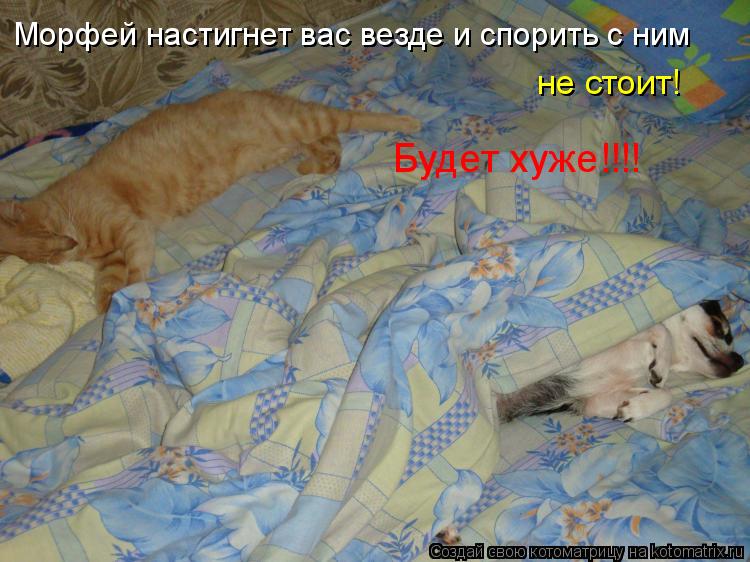 Морфей настигнет вас везде и спорить с ним не стоит! Будет хуже!!!!... Котоматрица: Морфей настигнет вас везде и спорить с ним не стоит! Будет хуже!!!!