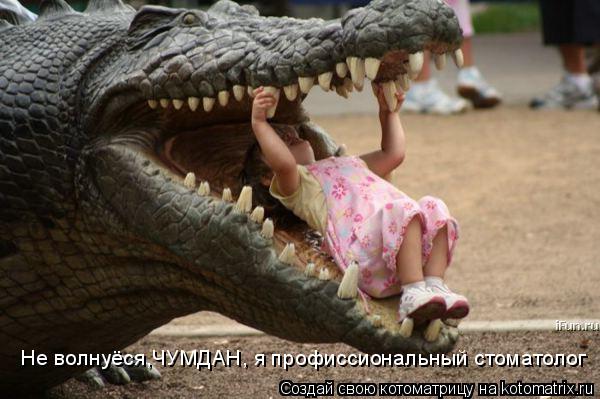Котоматрица: Не волнуёся,ЧУМДАН, я профиссиональный стоматолог