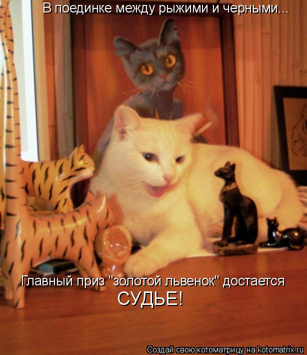 Котоматрица: В поединке между рыжими и черными... Главный приз "золотой львенок" достается СУДЬЕ!