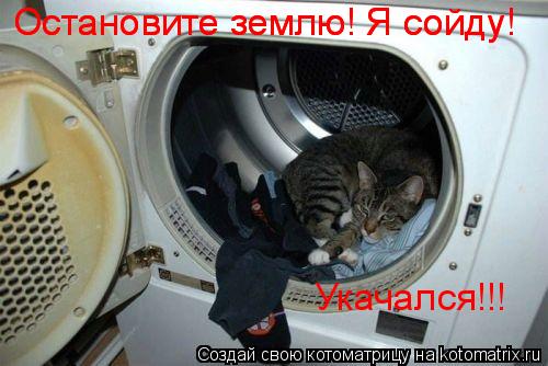 Остановите землю! Я сойду! Остановите землю! Я сойду! Укачался!!!... Котоматрица: Остановите землю! Я сойду! Остановите землю! Я сойду! Укачался!!!