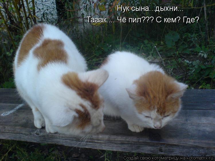 Котоматрица: Нук сына...дыхни... Тааак.... Чё пил??? С кем? Где?