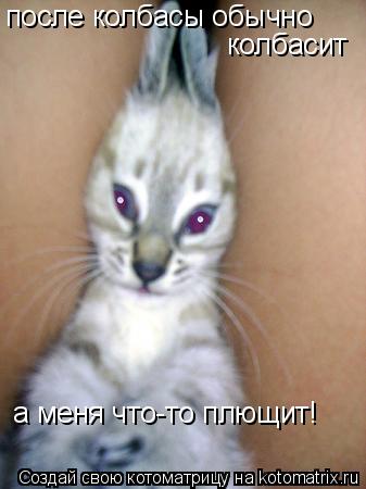 Котоматрица: после колбасы обычно  колбасит а меня что-то плющит!