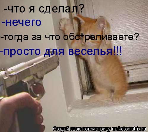 Котоматрица: -что я сделал? -нечего -тогда за что обстреливаете? -просто для веселья!!!