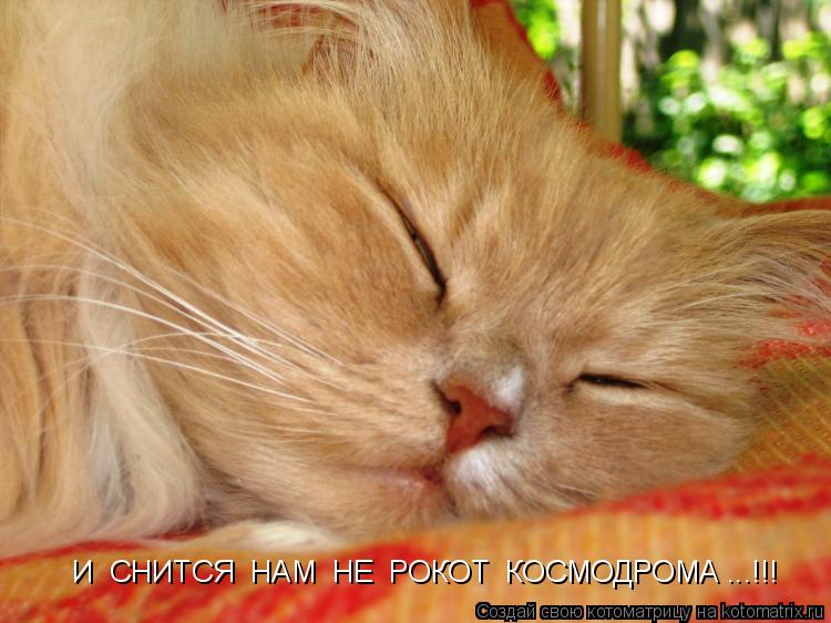 И СНИТСЯ НАМ НЕ РОКОТ КОСМОДРОМА ...!!!... Котоматрица: И СНИТСЯ НАМ НЕ РОКОТ КОСМОДРОМА ...!!!