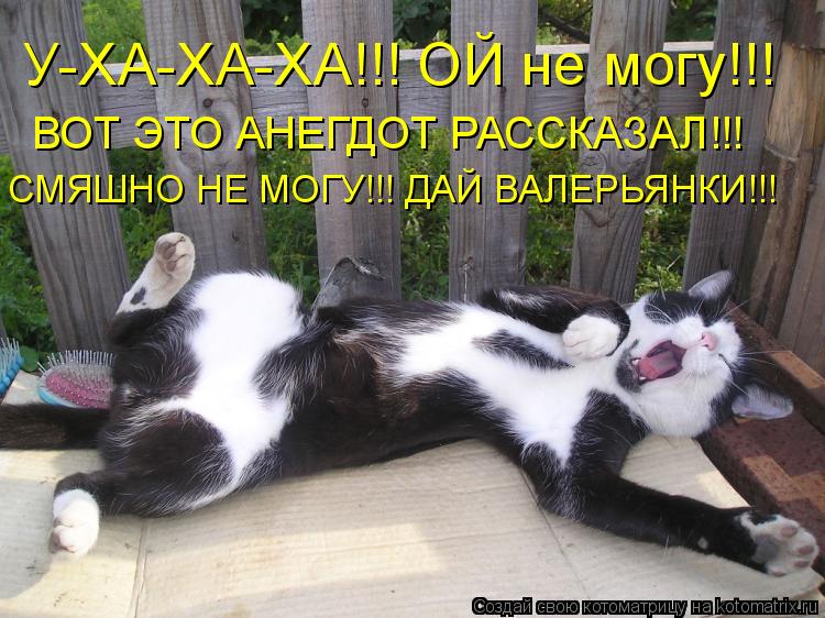 Котоматрица: У-ХА-ХА-ХА!!! ОЙ не могу!!! ВОТ ЭТО АНЕГДОТ РАССКАЗАЛ!!! СМЯШНО НЕ МОГУ!!! ДАЙ ВАЛЕРЬЯНКИ!!!