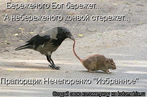 Береженого Бог бережет... А небереженого конвой стережет... Прапорщик Нечепоренко "Избранное"... Котоматрица: Береженого Бог бережет... А небереженого конвой стережет... Прапорщик Нечепоренко "Избранное"