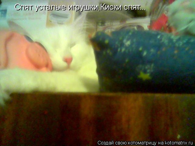 Спят усталые игрушки,Киски спят...... Котоматрица: Спят усталые игрушки,Киски спят...