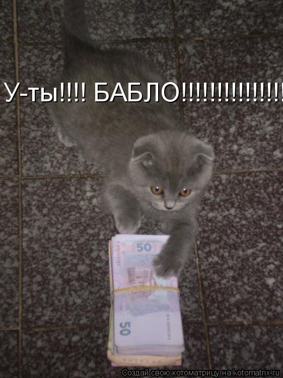 Котоматрица: У-ты!!!! БАБЛО!!!!!!!!!!!!!!!!!!!!