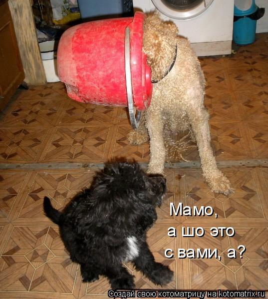 Мамо, а шо это с вами, а?... Котоматрица: Мамо, а шо это с вами, а?