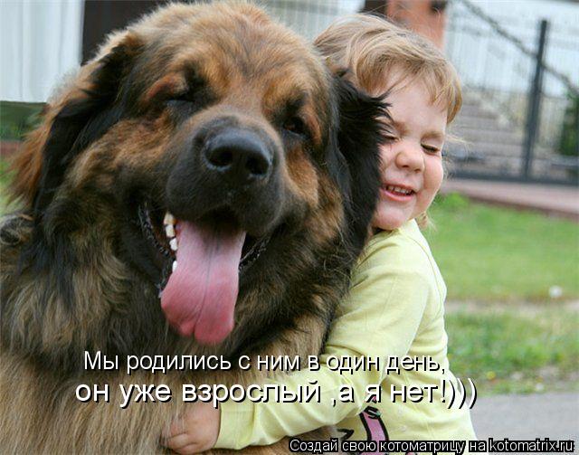 Мы родились с ним в один день, он уже взрослый ,а я нет!)))... Котоматрица: Мы родились с ним в один день, он уже взрослый ,а я нет!)))