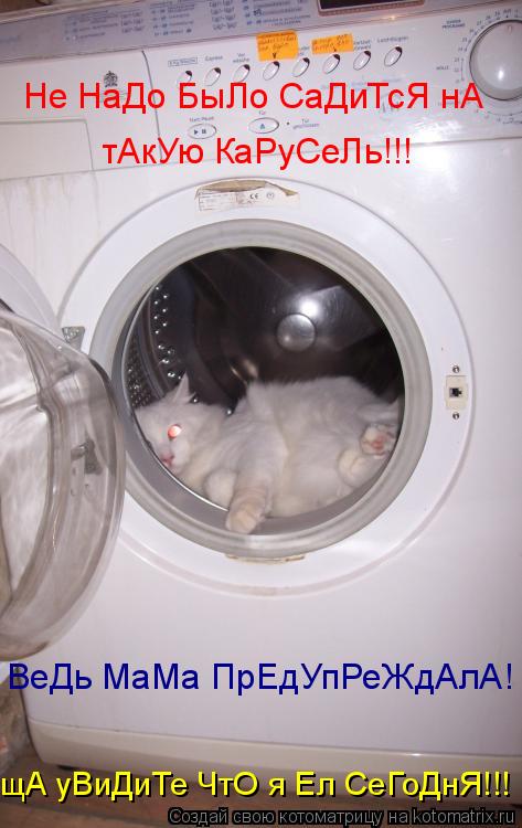 Не НаДо БыЛо СаДиТсЯ нА тАкУю КаРуСеЛь!!! ВеДь МаМа ПрЕдУпРеЖдАлА! щА уВиДиТе ЧтО я Ел СеГоДнЯ!!!... Котоматрица: Не НаДо БыЛо СаДиТсЯ нА тАкУю КаРуСеЛь!!! ВеДь МаМа ПрЕдУпРеЖдАлА! щА уВиДиТе ЧтО я Ел СеГоДнЯ!!!