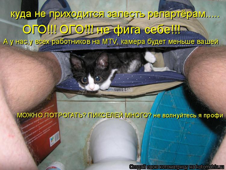 Котоматрица: куда не приходится залесть репартёрам..... ОГО!!! ОГО!!! не фига себе!!! А у нас,у всех работников на MTV, камера будет меньше вашей МОЖНО ПОТРОГАТЬ