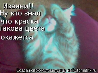 Извини!! Ну кто знал что краска такова цвета окажетса... Котоматрица: Извини!! Ну кто знал что краска такова цвета окажетса