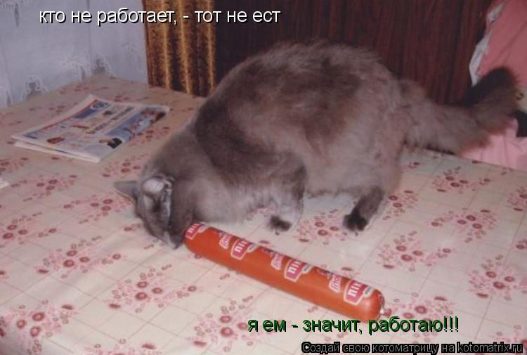Котоматрица: кто не работает, - тот не ест я ем - значит, работаю!!!