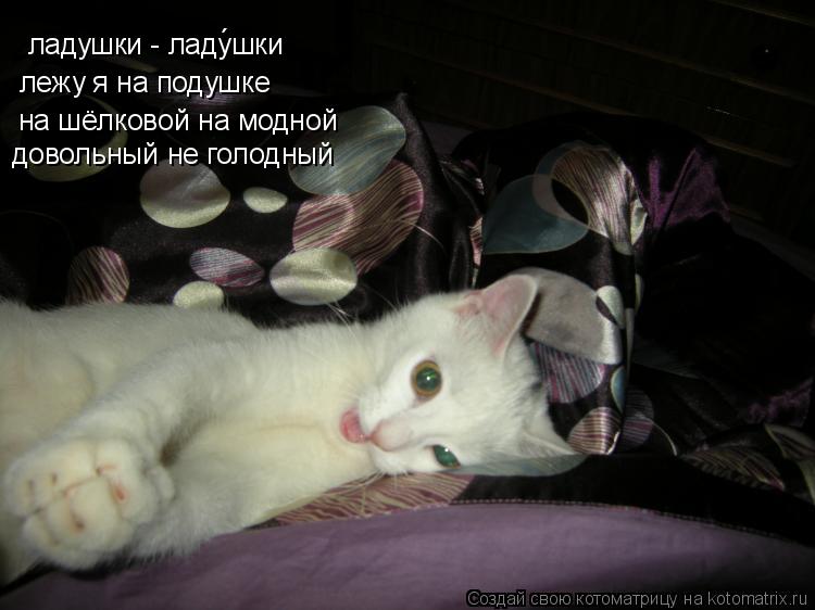 ладушки - ладушки ´ на шёлковой на модной довольный не голодный лежу я на подушке... Котоматрица: ладушки - ладушки ´ на шёлковой на модной довольный не голодный лежу я на подушке