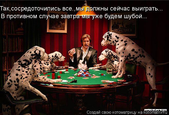Так,сосредоточились все.,мы должны сейчас выиграть... В противном случае завтра мы уже будем шубой...... Котоматрица: Так,сосредоточились все.,мы должны сейчас выиграть... В противном случае завтра мы уже будем шубой...