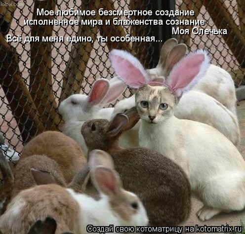 исполненное мира и блаженства сознание Мое любимое безсмертное создание Моя Олечька Всё для меня един... Котоматрица: исполненное мира и блаженства сознание Мое любимое безсмертное создание Моя Олечька Всё для меня едино, ты особенная...