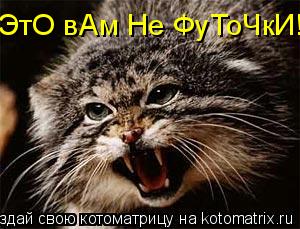 ЭтО вАм Не ФуТоЧкИ!... Котоматрица: ЭтО вАм Не ФуТоЧкИ!