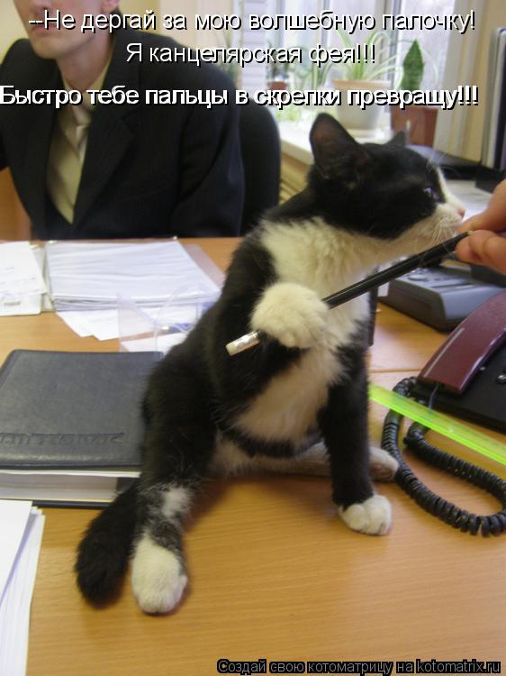 --Не дергай за мою волшебную палочку! Я канцелярская фея!!! Быстро тебе пальцы в скрепки превращу!!! ... Котоматрица: --Не дергай за мою волшебную палочку! Я канцелярская фея!!! Быстро тебе пальцы в скрепки превращу!!! Быстро тебе пальцы в скрепки превращу!!!