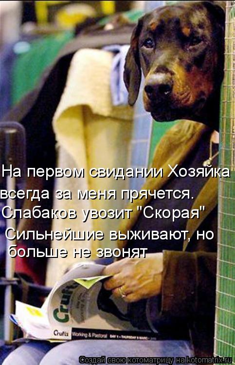 На первом свидании Хозяйка всегда за меня прячется. Сильнейшие выживают, но Слабаков увозит "Скорая"... Котоматрица: На первом свидании Хозяйка всегда за меня прячется. Сильнейшие выживают, но Слабаков увозит "Скорая" больше не звонят