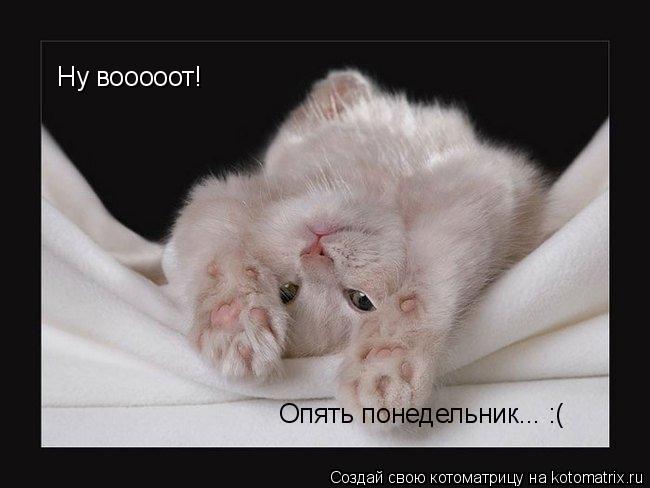 Ну вооооот! Опять понедельник... :(... Котоматрица: Ну вооооот! Опять понедельник... :(