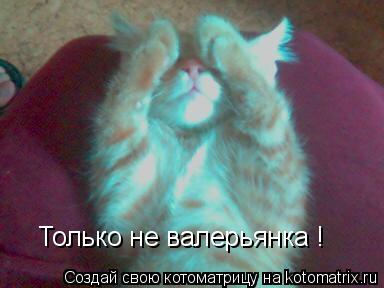 Котоматрица: Только не валерьянка !