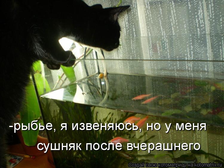Котоматрица: -рыбье, я извеняюсь, но у меня  сушняк после вчерашнего