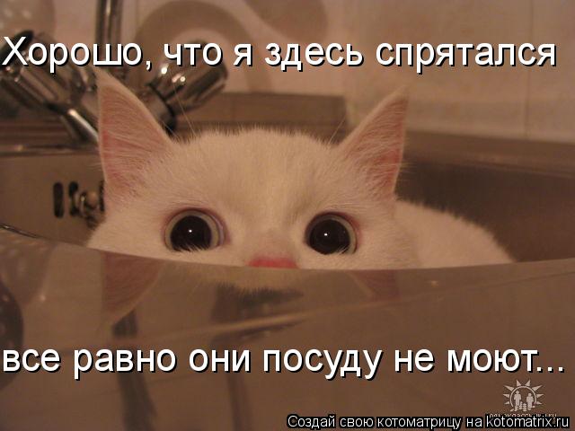 Хорошо, что я здесь спрятался все равно они посуду не моют...... Котоматрица: Хорошо, что я здесь спрятался все равно они посуду не моют...