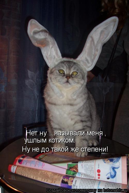 Котоматрица: Нет ну ...называли меня , ушлым котиком. Ну не до такой же степени!