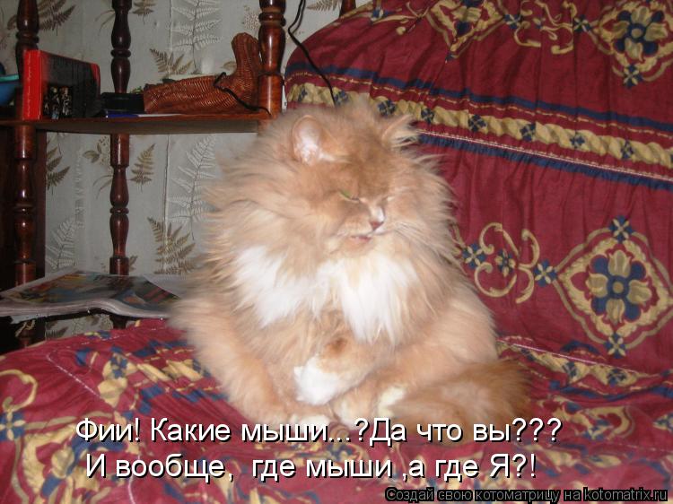 Котоматрица: Фии! Какие мыши...?Да что вы??? И вообще,  где мыши ,а где Я?!