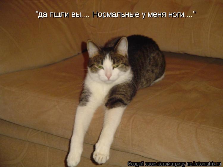 Котоматрица: "да пшли вы.... Нормальные у меня ноги...."