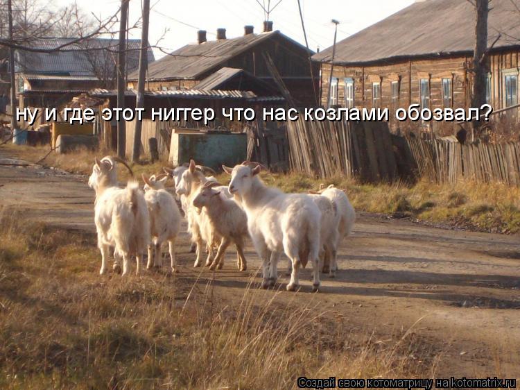 ну и где этот ниггер что нас козлами обозвал?... Котоматрица: ну и где этот ниггер что нас козлами обозвал?