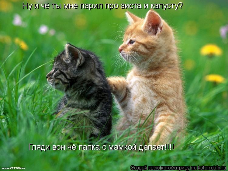 Котоматрица: Ну и чё ты мне парил про аиста и капусту?  Гляди вон чё папка с мамкой делает!!!!