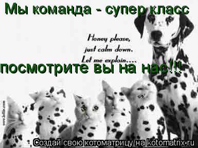 Мы команда - супер класс посмотрите вы на нас!!!... Котоматрица: Мы команда - супер класс посмотрите вы на нас!!!