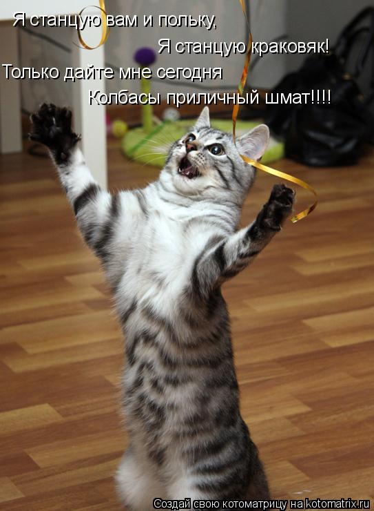 Я станцую вам и польку, Я станцую краковяк! Только дайте мне сегодня Колбасы приличный шмат!!!!... Котоматрица: Я станцую вам и польку, Я станцую краковяк! Только дайте мне сегодня Колбасы приличный шмат!!!!
