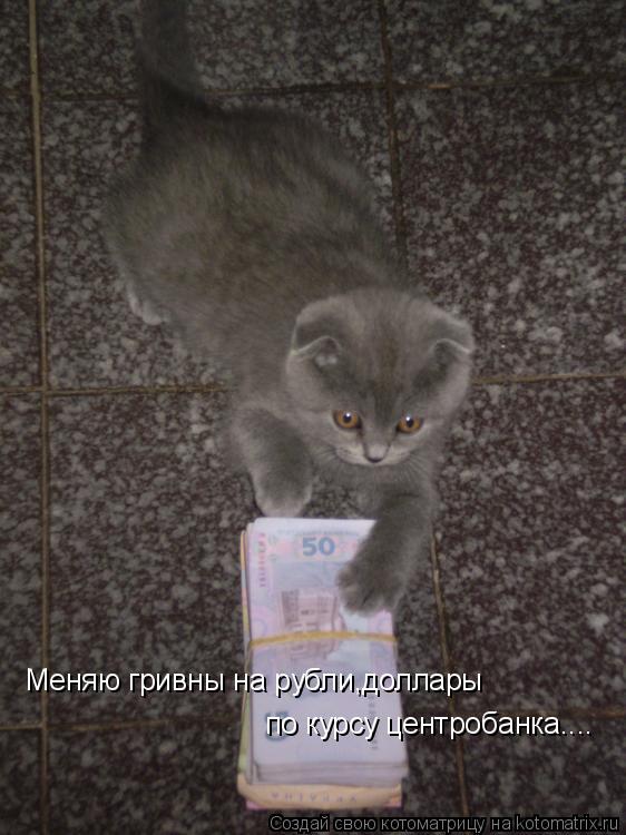 Меняю гривны на рубли,доллары по курсу центробанка....... Котоматрица: Меняю гривны на рубли,доллары по курсу центробанка....