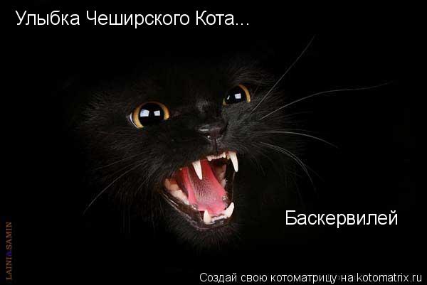 Улыбка Чеширского Кота... Баскервилей... Котоматрица: Улыбка Чеширского Кота... Баскервилей