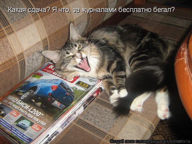 Какая сдача? Я что, за журналами бесплатно бегал?... Котоматрица: Какая сдача? Я что, за журналами бесплатно бегал?
