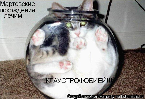 Котоматрица: Мартовские похождения лечим КЛАУСТРОФОБИЕЙ!!!
