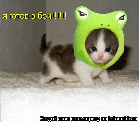 я готов в бои!!!!!!... Котоматрица: я готов в бои!!!!!!